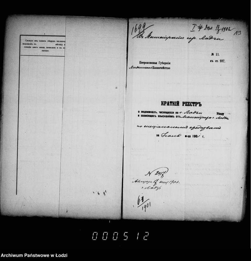 Obraz 13 z jednostki "O nedoimkach po knigam Lodzinskago Uezdnago Kaznačejstva za II ju polovinu 1901 goda"