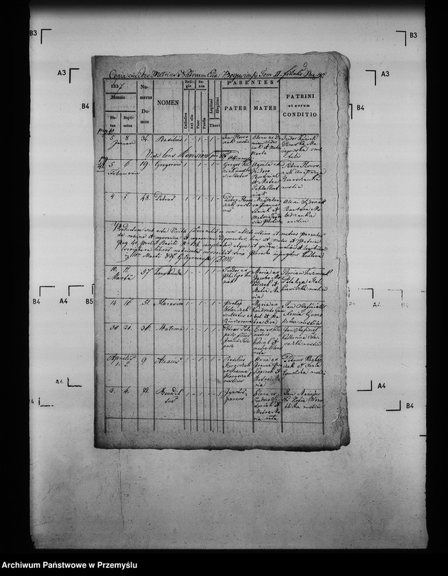 Obraz 12 z jednostki "[Kopie ksiąg metrykalnych parafii Królowa Ruska z filią Bogusza (dekanat Grybów)]"