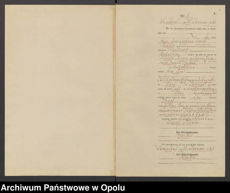 image.from.unit.number "Geburts-Neben-Register des Standesamts Lamsdorf No 15 pro 1881"