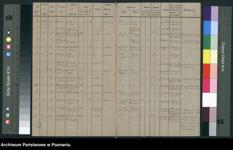 Obraz 4 z jednostki "Księga zgonów"