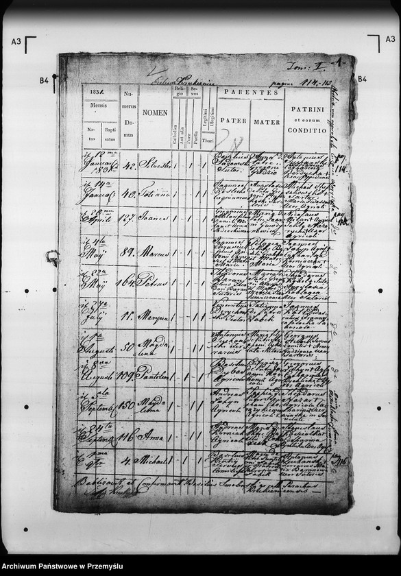 Obraz 5 z jednostki "[Kopie ksiąg metrykalnych parafii Krukienice z filią Ostrożec (dekanat Mościska)]"