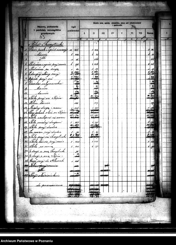 Obraz 19 z jednostki "/Rejestr pomiarowy dóbr Szczytniki powiat kaliski"