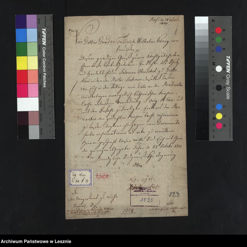 Obraz 3 z jednostki "[Schutz - und Handelsjude Salamon Hirschel zu Züllichau gegen Rektor Fechner /sprawy procesowe/]"