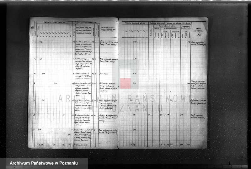image.from.unit.number "Plan urządzenia gospodarstwa leśnego Baborówko-Baborowo powiat szamotulsko-obornicki 1929-1939"