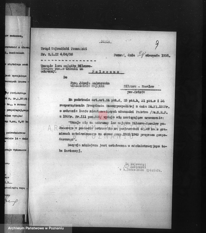 Obraz 14 z jednostki "Nadzór nad gospodarką w lasach majątku Billczew-Kowalew powiat obornicki"