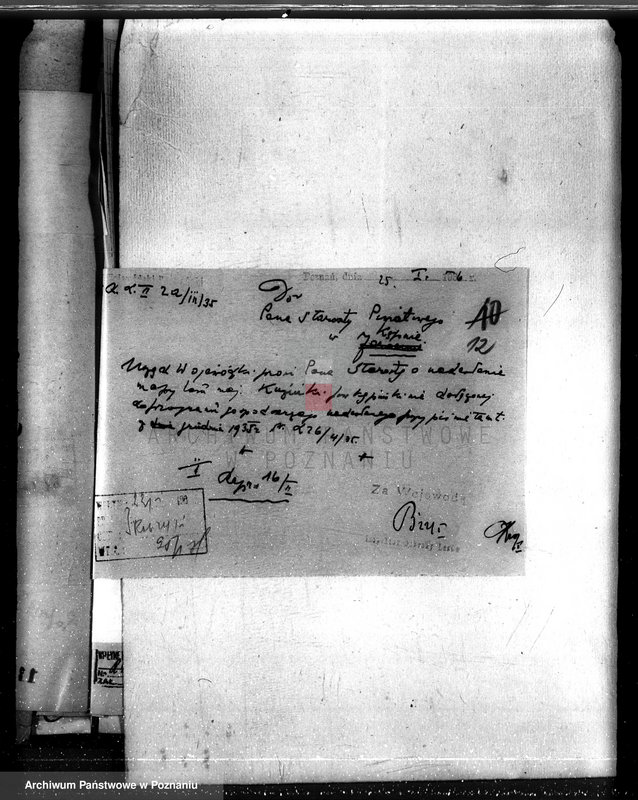 Obraz 16 z jednostki "Lasy majątku Kuźniki powiatu kępińskiego"