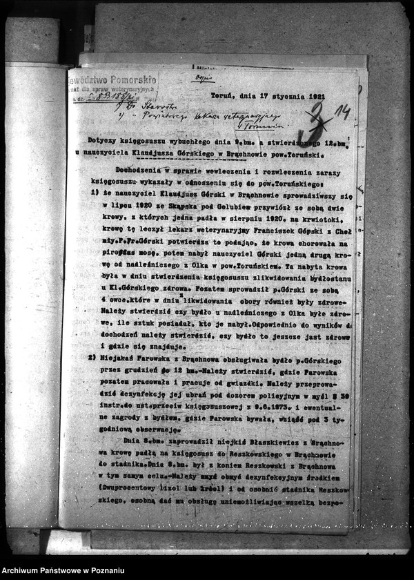 Obraz 19 z jednostki "Księgosusz - Toruń"