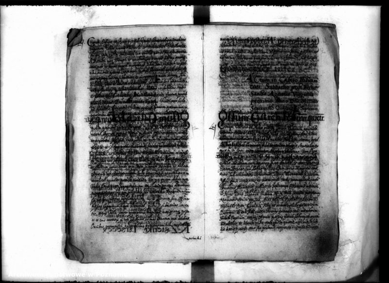 Obraz 12 z jednostki "Inscriptiones [inducta]"