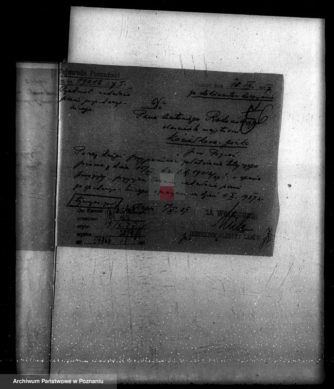 Obraz 10 z jednostki "Majętność leśna Kociałkowo powiat poznański"