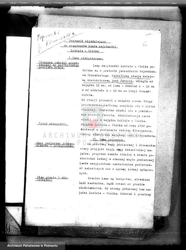 Obraz 10 z jednostki "Nadzór nad gospodarką w lasach majątku Lubinia-Wielka w powiecie jarocińskim"