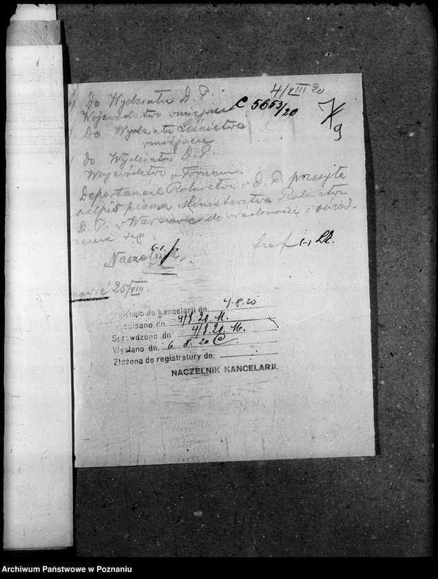 Obraz 13 z jednostki "Nieużytki rolne"