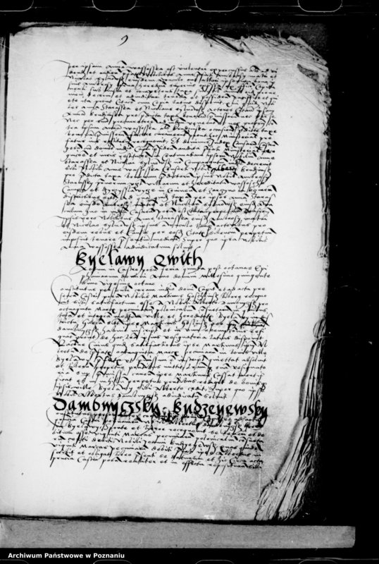 Obraz 19 z jednostki "Inscriptiones, relationes, decreta [inducta]"