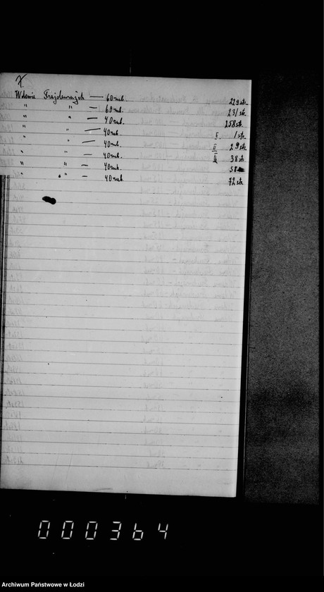 Obraz 11 z jednostki "Skorowidz do księgi protokołów"