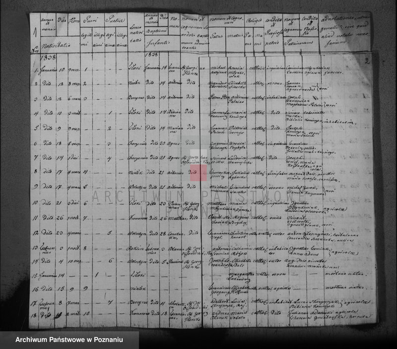 image.from.unit "Duplikat der Gebornen"