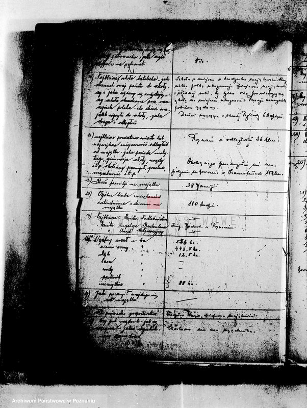 Obraz 6 z jednostki "Dzierżawa majątku państwowego Przybroda"