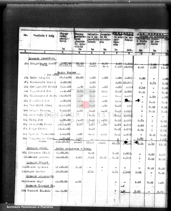 Obraz 11 z jednostki "Zalesienie nieużytków w powiecie bydgoskim"