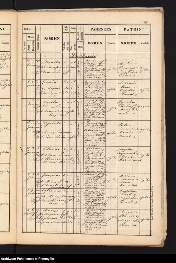 image.from.unit.number "[Kopie metryki urodzeń w parafii Cieszanów z lat 1864-1865]"