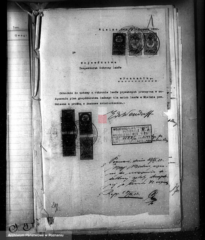 Obraz 5 z jednostki "Majętność leśna w Mielnie w powiecie gnieźnieńskim"