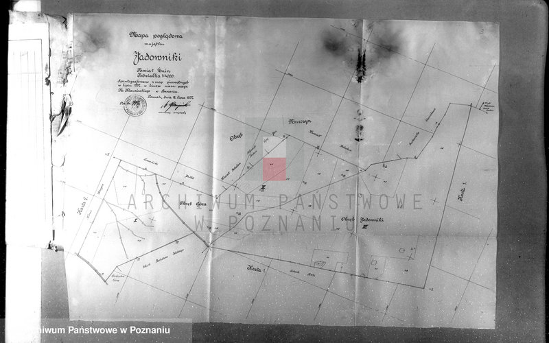 Obraz 7 z jednostki "Rejestr klasyfikacyjno-pomiarowy majątku Jadowniki w powiecie żnińskim"