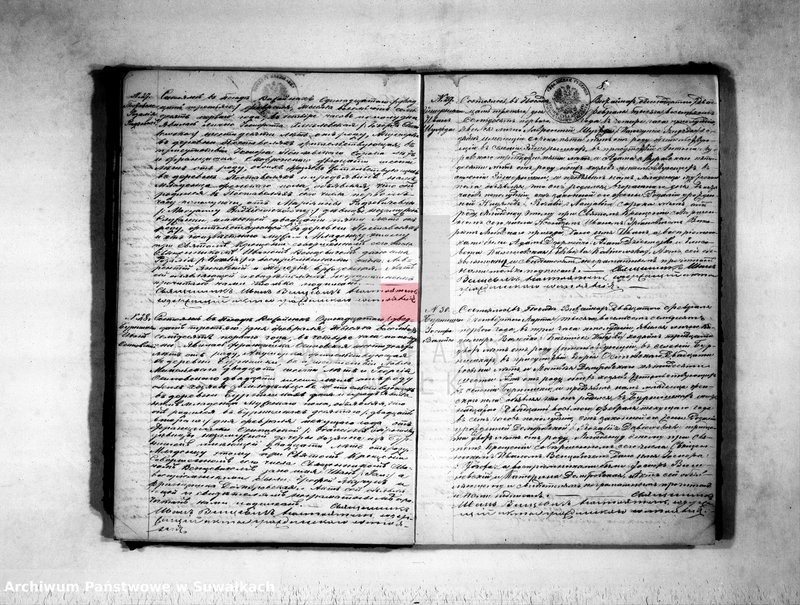 Obraz 10 z jednostki "Duplikat uroždennych, umeršich i brakosočetavšichsja rimsko-katoličeskogo vižajnskogo prichoda za 1871god"