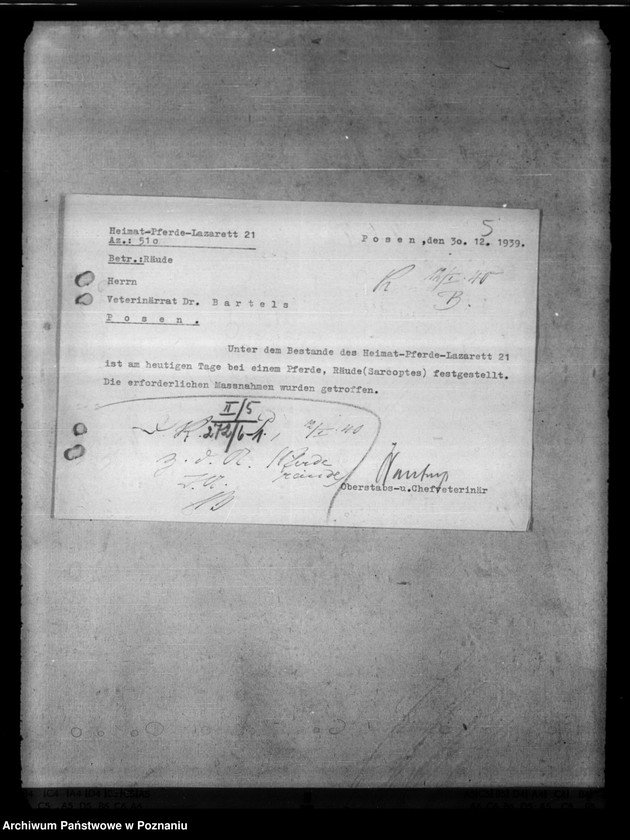 Obraz 9 z jednostki "Bekämpfung der Räude der Einhufer - Pferde, Gaszelle zur Behandlung räudekranker Pferde."