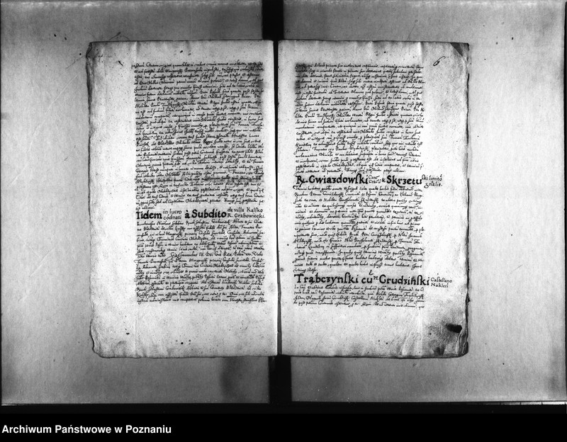 Obraz 10 z jednostki "Decreta [inducta]"