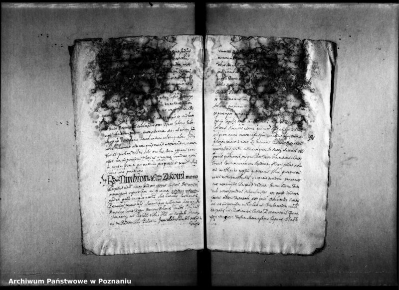 Obraz 14 z jednostki "Decreta officii [inducta]"