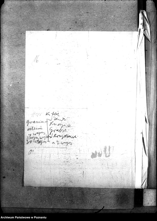 Obraz 20 z jednostki "Kartofle"