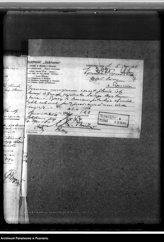 Obraz 11 z jednostki "/Nadzór nad gospodarką leśną/ majętności Zakrzewo powiecie gnieźnieńskim"