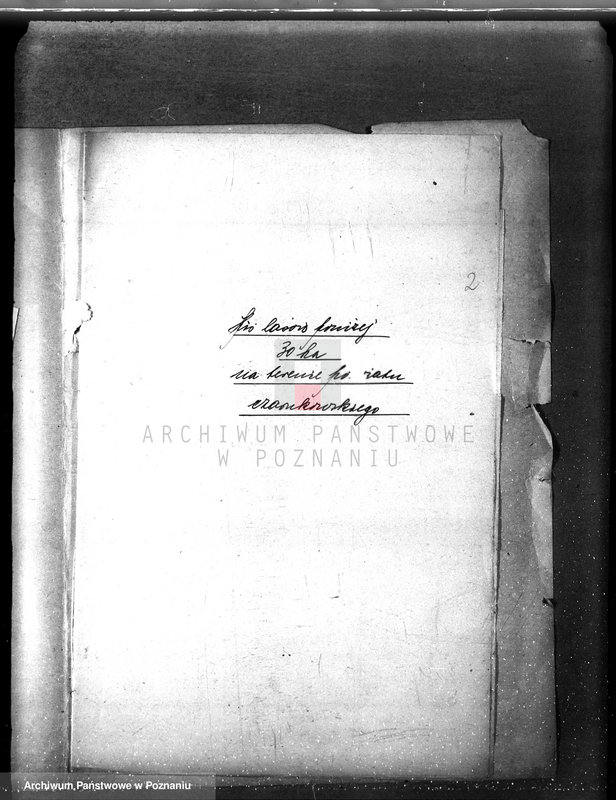 Obraz 6 z jednostki "/Spis właścicieli lasów z terenu powiatu czarnkowskiego"