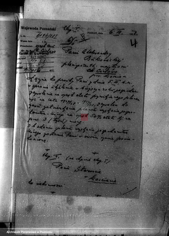 Obraz 8 z jednostki "Nadzór nad gospodarką w lasach majętności Cichowo powiat kościański"