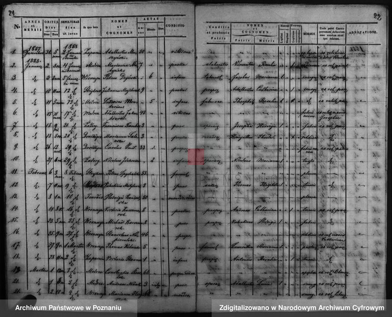 Obraz 15 z jednostki "Duplicatus baptisatorum, copulatorum, mortuorum"