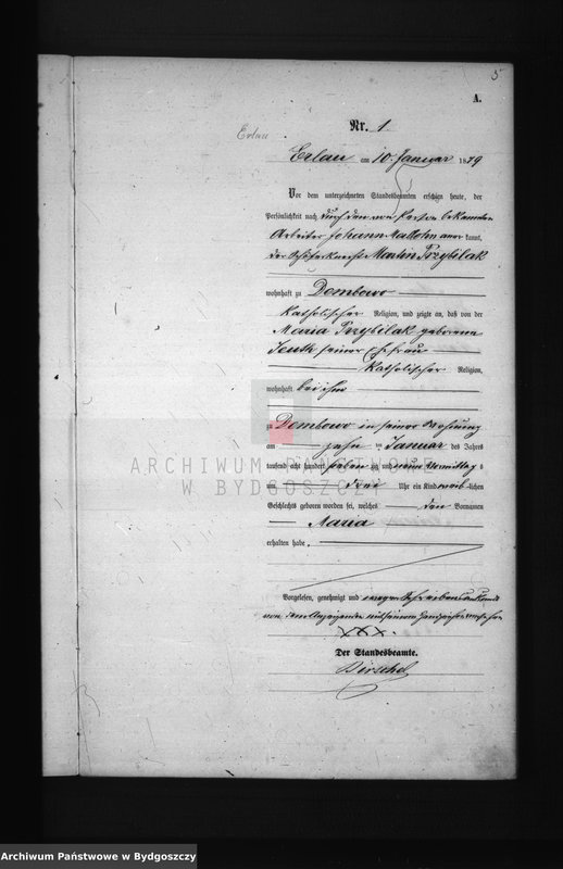 image.from.team "Urząd Stanu Cywilnego Olszewka, pow. Wyrzysk"