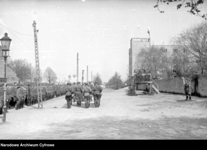 Obraz 14 z kolekcji "Defilada 9 maja 1945 batalion fizylierów 1 BPanc. Al. Hallera, Gdańsk111"