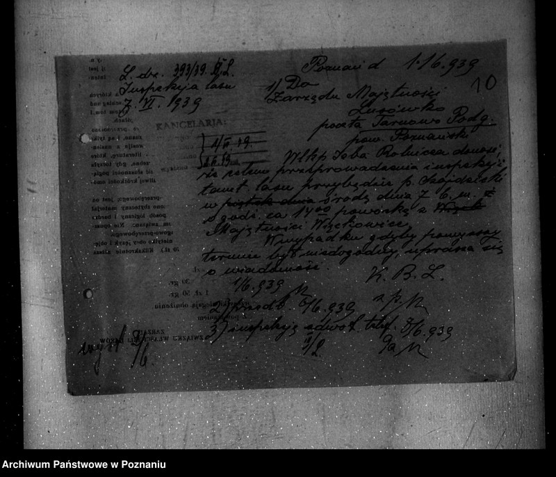 Obraz 14 z jednostki "Nadzór nad gospodarką w lasach majętności Lusówko powiatu poznańskiego"