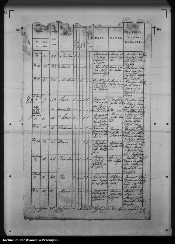 Obraz 8 z jednostki "[Kopie ksiąg metrykalnych parafii Daliowa z filią Szklary (dekanat Rymanów)]"