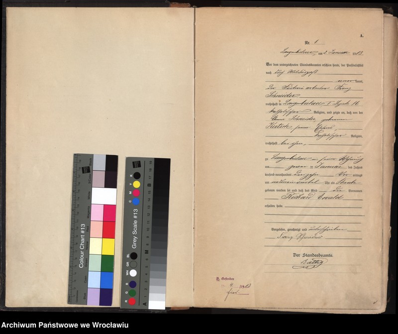 image.from.unit.number "Księga urodzeń Bielawa (Langenbielau) 1913"