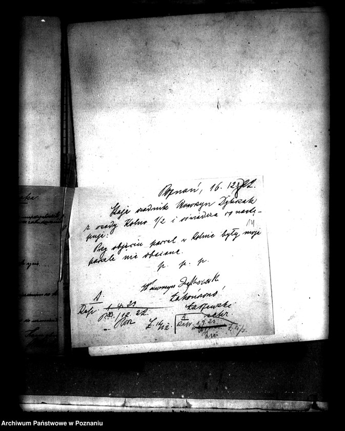 Obraz 18 z jednostki "Działki nr 1 i 2a w Kolnie powiatu międzychodzkiego Wawrzyn Dykczak osada parcelacyjna"