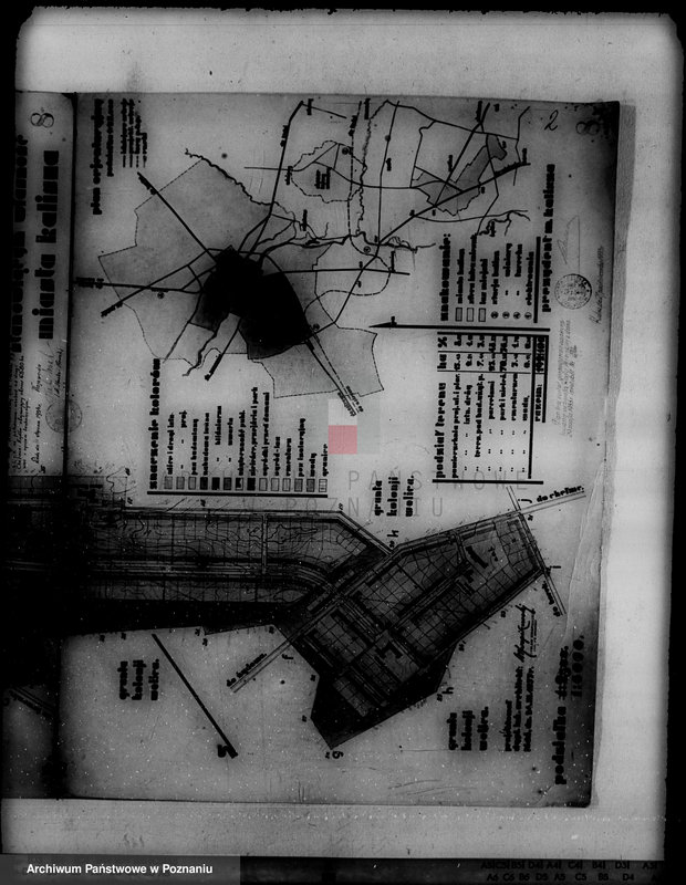 Obraz 5 z jednostki "/Las miasta Kalisza nadzór nad gospodarką/"