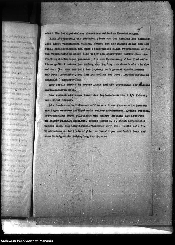 Obraz 9 z jednostki "Instytut Higieny Zwierząt w Bydgoszczy"