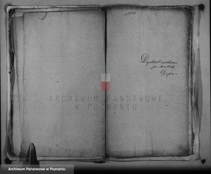 image.from.unit.number "Duplikat baptisatorum, copulatorum, mortuorum"