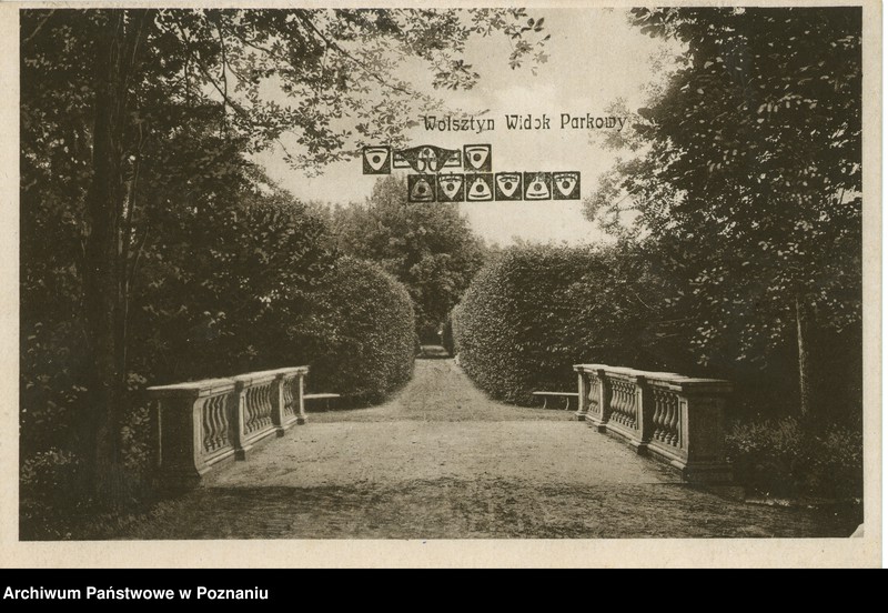 Obraz 1 z jednostki "Wolsztyn - widok parkowy"