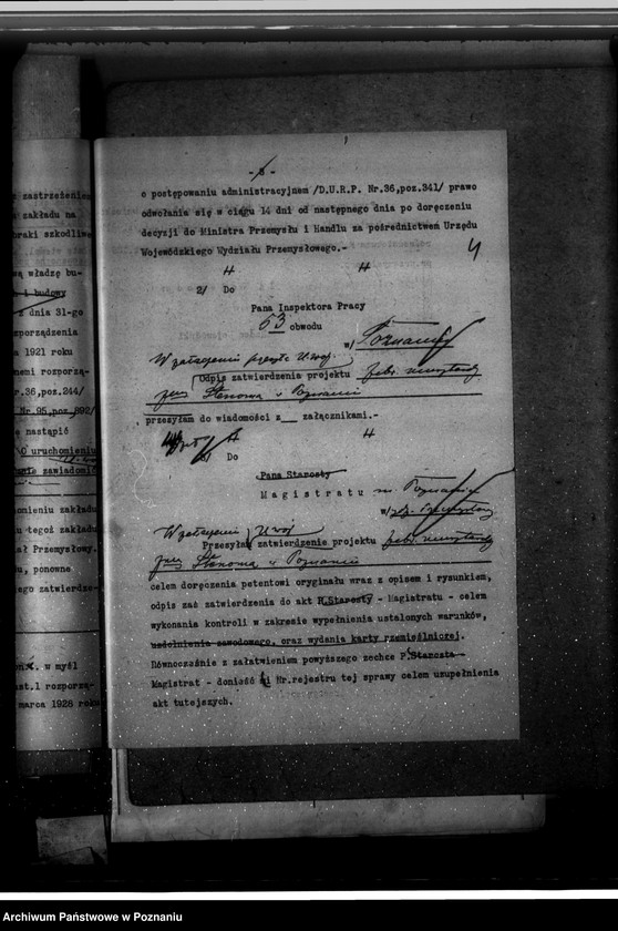 Obraz 8 z jednostki "Zatwierdzenie zakładu przemysłowego /wytwórni musztardy/ "Stenomy" w Poznaniu"