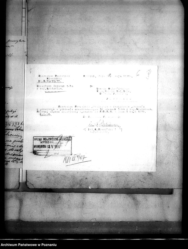 Obraz 10 z jednostki "Majątek Łobżenice powiatu wyrzyskiego wydzielenie zastrzeżonych parcel"