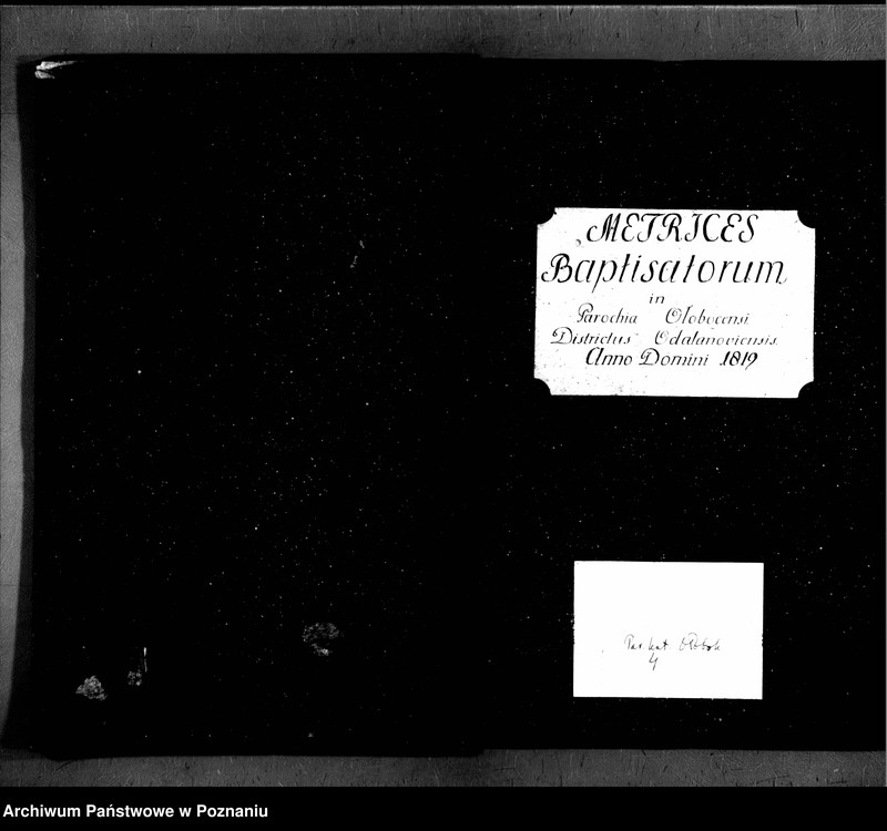 image.from.team "Akta stanu cywilnego Parafii Rzymskokatolickiej Ołobok (pow. ostrowski)"