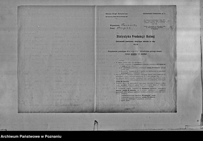 Obraz 17 z jednostki "/Statystyka produkcji rolnej - zestawienie powiatowe - Śmigiel"