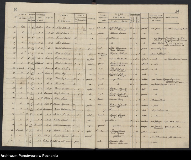 Obraz 13 z jednostki "Indeks zgonów"