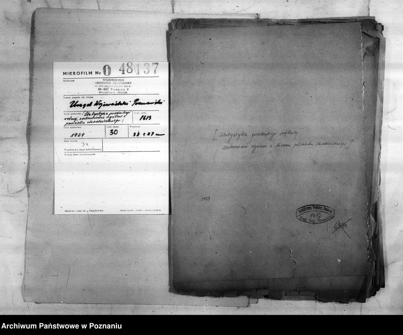 Obraz 2 z jednostki "/Statystyka produkcji rolnej - zestawienie ogólne z powiatu chodzieskiego"