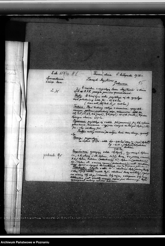 Obraz 19 z jednostki "Leśnictwo w Godurowie powiat gostyński"