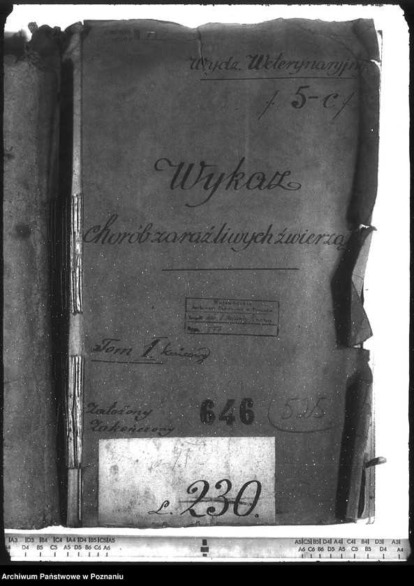 Obraz 4 z jednostki "Wykaz chorób zaraźliwych zwierząt"